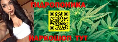 метадон Гусев