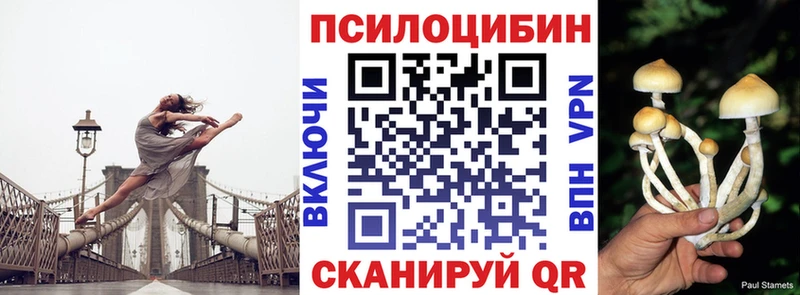 Псилоцибиновые грибы MAGIC MUSHROOMS  МЕГА ТОР  Дивногорск  купить наркотик 