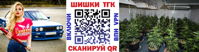 Конопля план Дивногорск